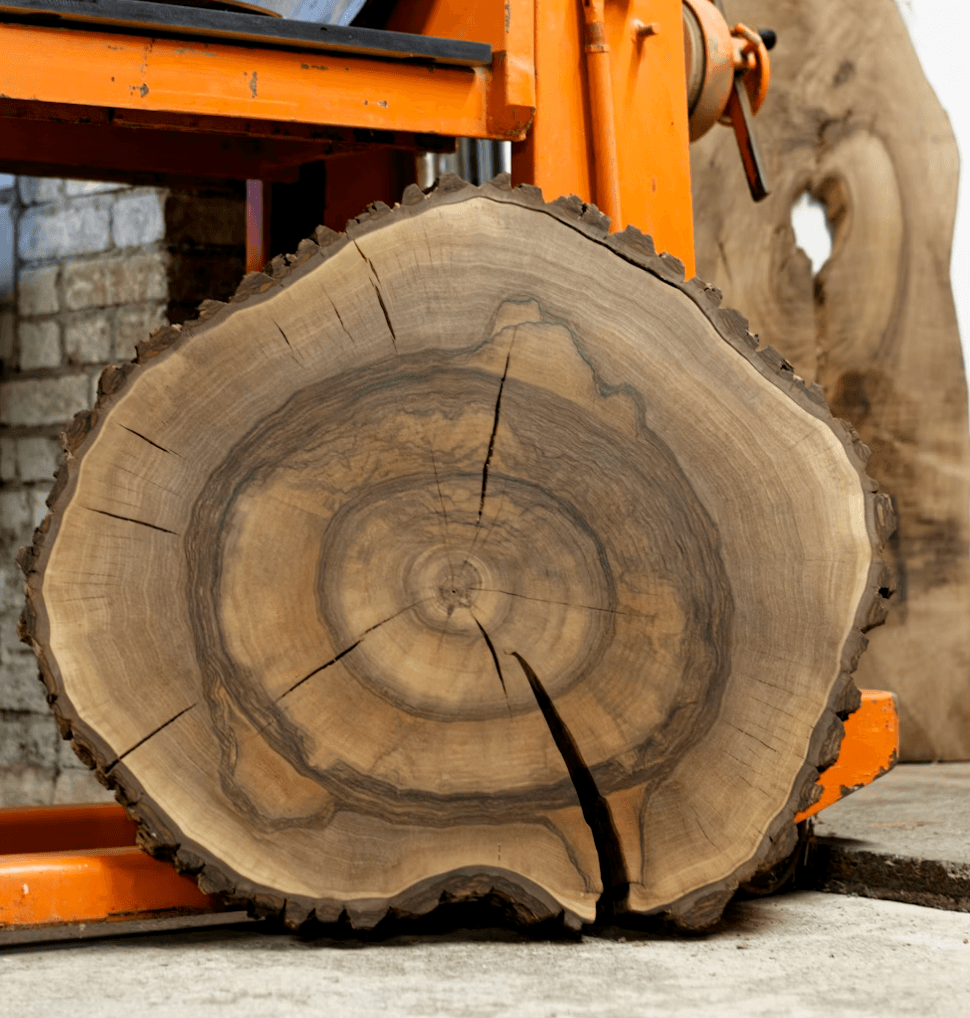 Walnut Wood